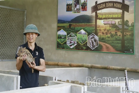 Bình Minh trên núi