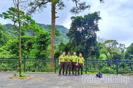 Hạt Kiểm lâm Tam Đảo - Tam Dương ứng dụng công nghệ trong quản lý, bảo vệ rừng