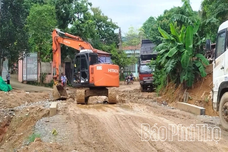 Khi ước mơ thành hiện thực