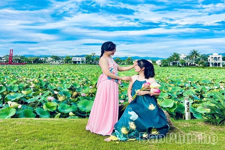 Sắc&nbsp;sen mùa Hạ - Điểm nhấn xanh giữa lòng Vườn Vua