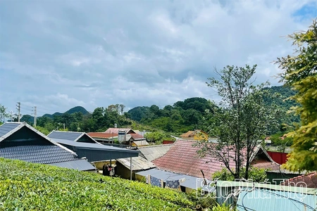 Ước mơ ở lưng chừng núi
