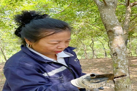 Về vùng đất phụ nữ “ăn với chồng nửa bữa...”
