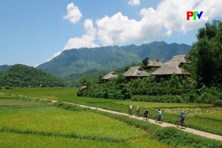 Để di sản thành tài sản
