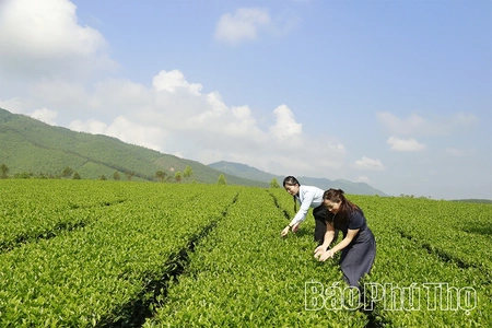 Đồng Lương khơi mở tài nguyên xanh