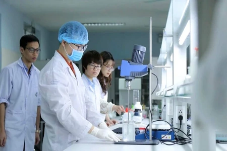 Quy định đào tạo chuyên môn đối với chuyên gia đánh giá