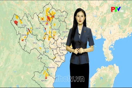 Dự báo thời tiết tỉnh Phú Thọ ngày 11/8/2026
