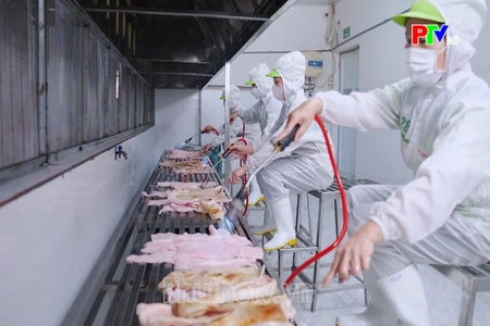 Chuẩn hóa quy trình sản xuất - Nâng tầm sản phẩm OCOP