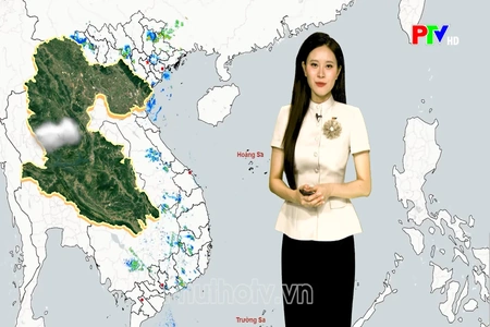 Dự báo thời tiết tỉnh Phú Thọ ngày 13/8/2026