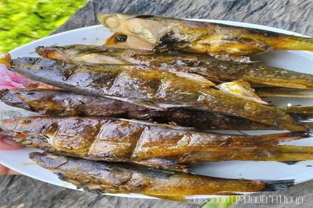 Cá sứt - món độc đáo trong ẩm thực vùng cao