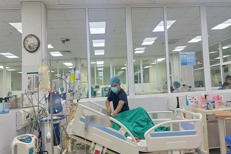 Cẩn trọng với vết đốt hoặc vết loét, phòng tránh sốc nhiễm khuẩn