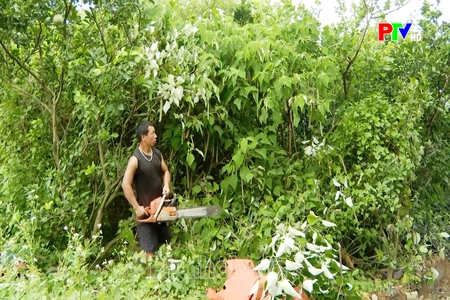 Quyết liệt giải phóng mặt bằng các khu công nghiệp