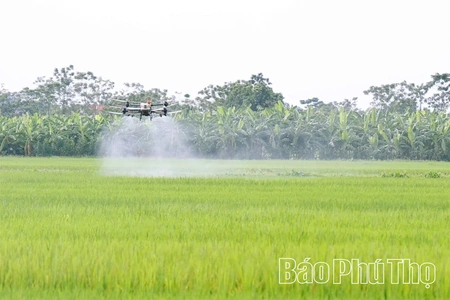 Hiệu quả việc sử dụng thiết bị bay không người lái sản xuất nông nghiệp
