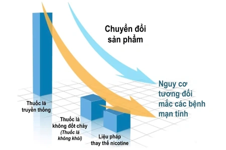 “Cai thuốc” và “giảm tác hại”: Hai giải pháp cùng hướng tới mục tiêu chung