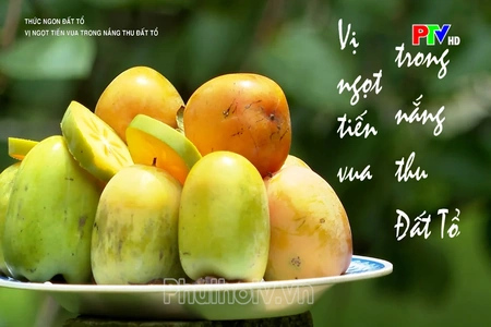 Vị ngọt tiến vua trong nắng thu đất Tổ