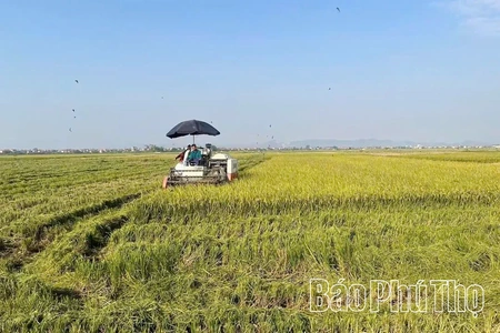 Đưa khoa học kỹ thuật vào trồng trọt