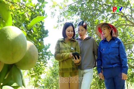 Đưa nông sản vươn xa trên môi trường số