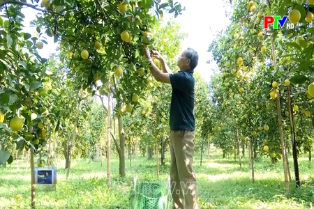 Đa dạng sinh kế nâng cao thu nhập cho người dân