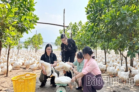 Tu Vũ ứng dụng khoa học công nghệ phát triển kinh tế - xã hội