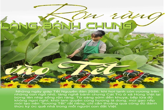 Rộn ràng làng bánh chưng vào Tết