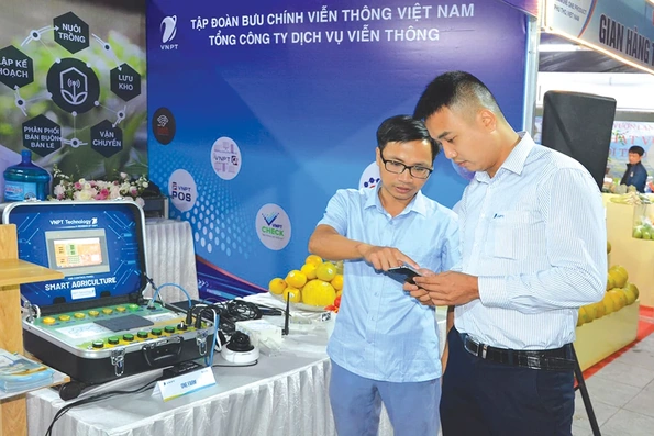 Doanh nghiệp bắt nhịp chuyển đổi số