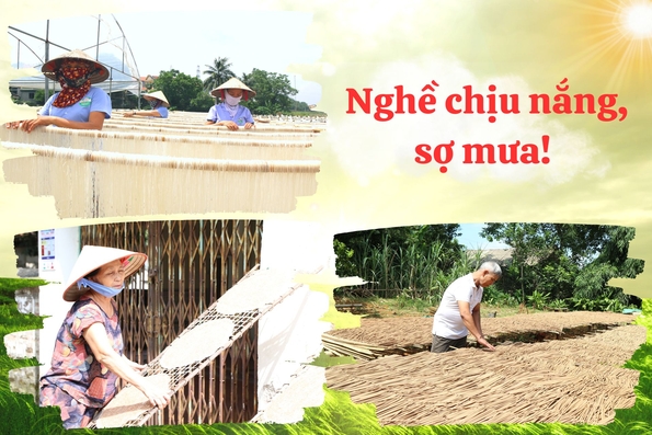 Nghề chịu nắng, sợ mưa !