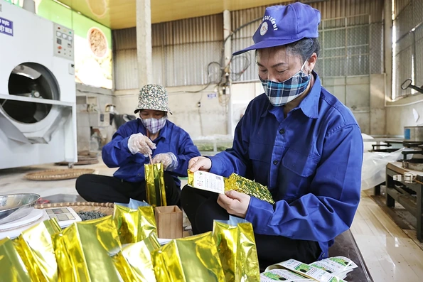 Thay đổi tư duy trong sản xuất nông nghiệp