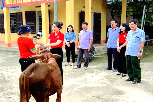 Nhân rộng “Ngân hàng bò” ở Phù Ninh