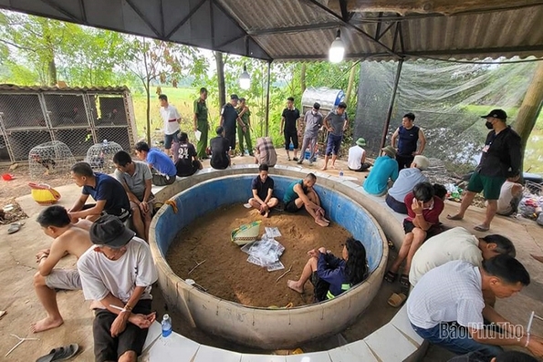 Tăng cường đấu tranh với tội phạm đánh bạc