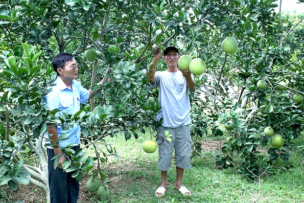 Cự Đồng lãnh đạo giảm nghèo bền vững