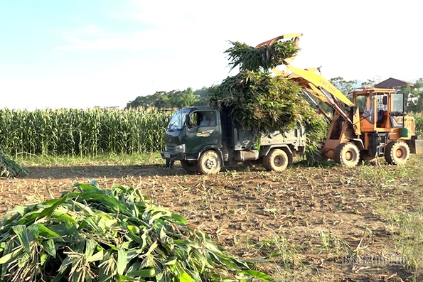 Developing effective agricultural models