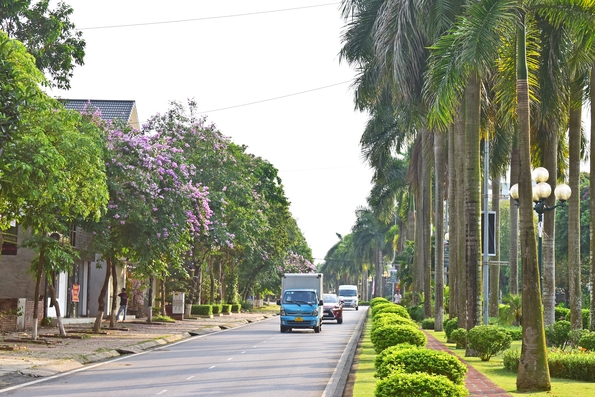 Sắc tím bằng lăng