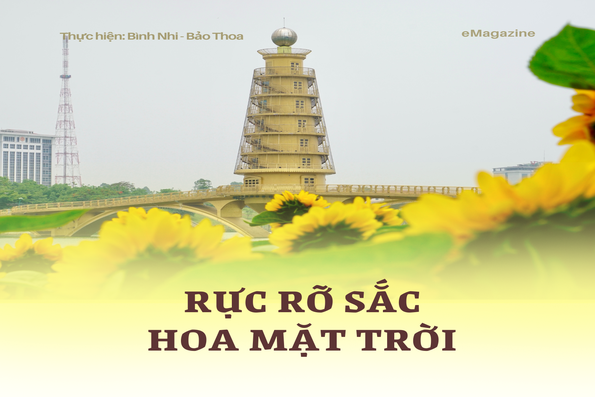 Rực rỡ sắc hoa mặt trời