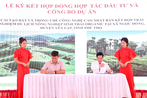 Ký kết hợp đồng hợp tác đầu tư dự án “Cải tạo đất và trồng chè công nghệ cao Nhật Bản”