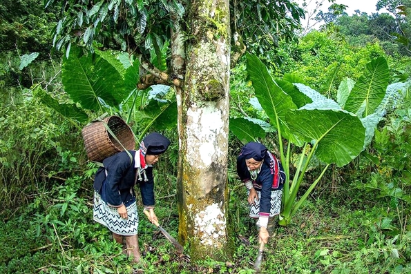 Bảo vệ đa dạng sinh học dựa vào cộng đồng