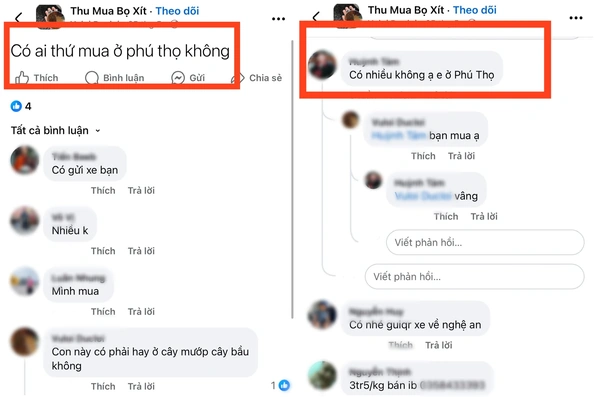 Cảnh giác mánh khóe lừa đảo, thu mua nông sản “lạ” trên “chợ trời” online