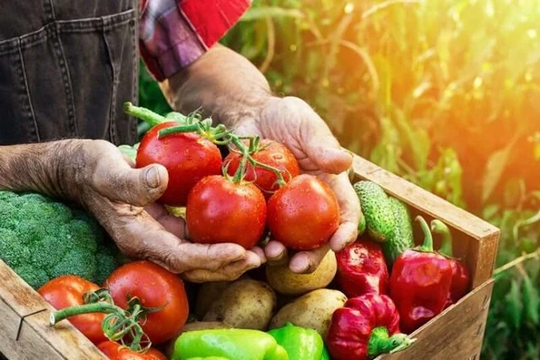Ăn thực phẩm hữu cơ có giúp phòng ngừa ung thư không?
