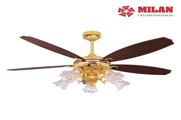 Mua quạt trần phòng bếp tại Quạt trần Italia có gì đặc biệt?