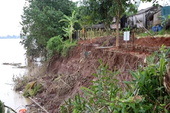 Phú Thọ ban hành Lệnh xây dựng công trình khẩn cấp xử lý sạt lở bờ, vở sông Thao