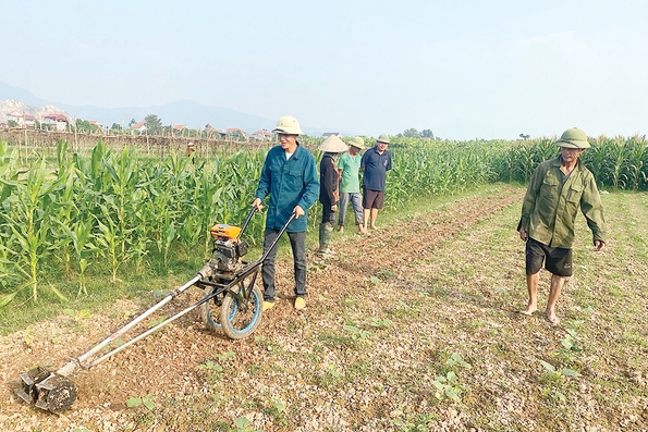 Sáng tạo nhà nông - khơi nguồn đổi mới