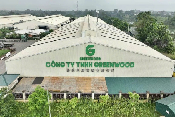 Công ty TNHH GREENWOOD bị xử phạt 140 triệu đồng về lĩnh vực bảo vệ môi trường