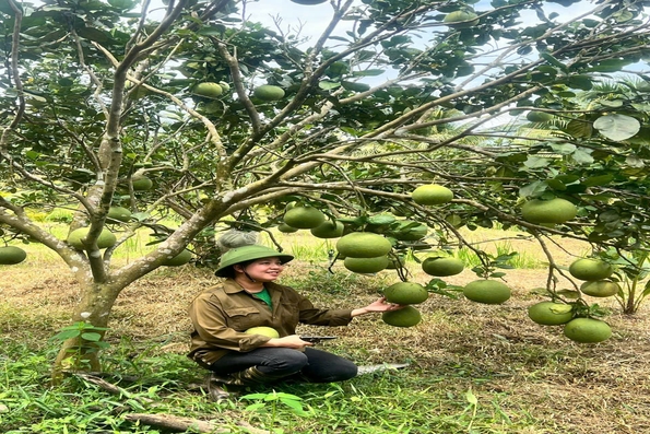 Khánh Vĩnh: Khai mở tiềm năng phát triển kinh tế nông nghiệp