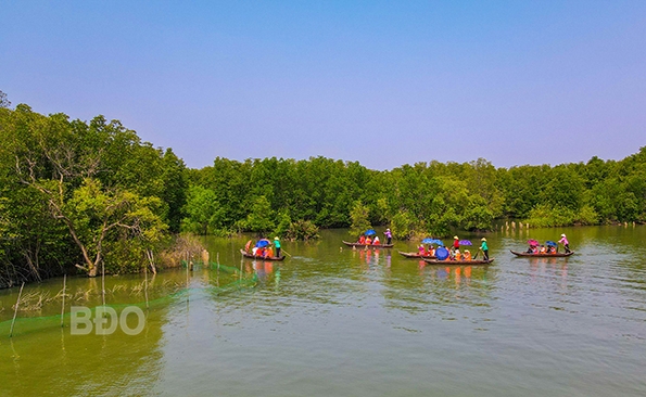 Ngao du đầm Thị Nại