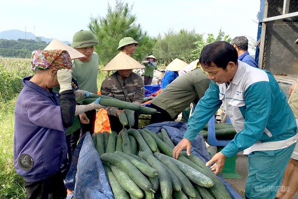 Chuyển dịch cơ cấu kinh tế ở Văn Lang