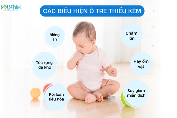 Solechild BizinC - Giải pháp hiện đại cho trẻ thiếu kẽm, biếng ăn