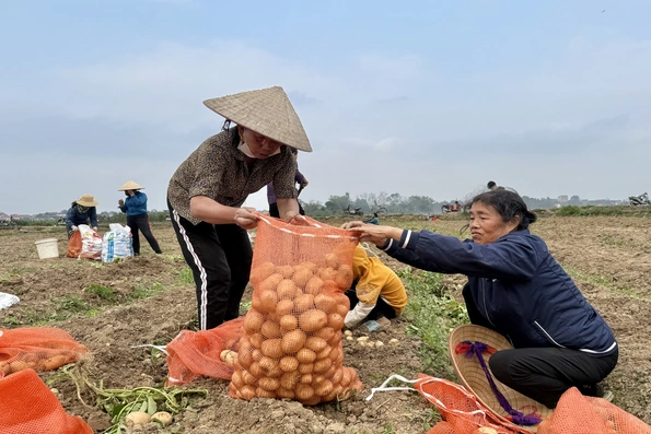Sơn Vi “đón lộc” đầu Xuân