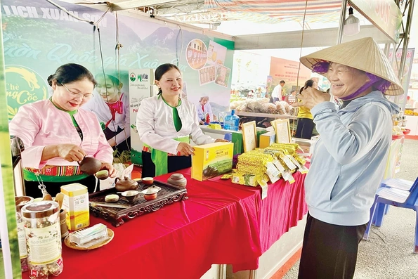 Liên minh Hợp tác xã tỉnh đồng hành cùng hợp tác xã phát triển