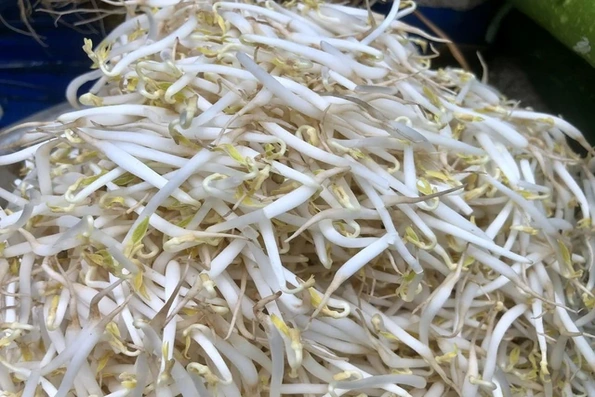 Cách chọn giá đỗ tự nhiên, phân biệt với giá đỗ có hóa chất