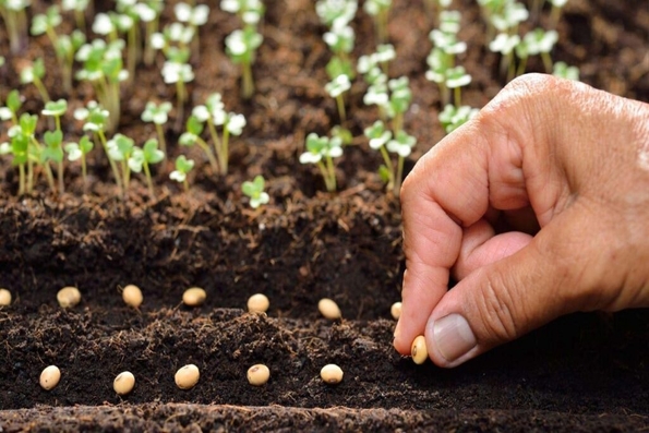 Mỗi giây phút ta sống là một món quà