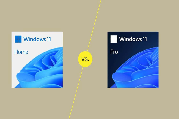 Nên dùng Windows 11 Home hay Windows 11 Pro để bảo mật thông tin?