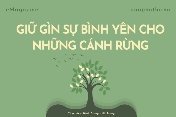 Giữ gìn sự bình yên cho những cánh rừng